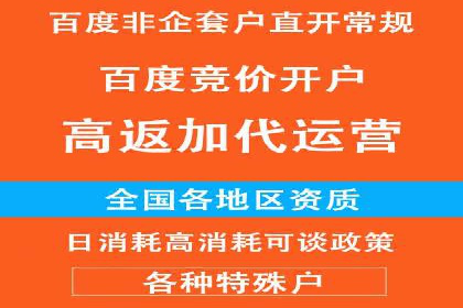 成功案例解析：SEM竞价托管运营策略