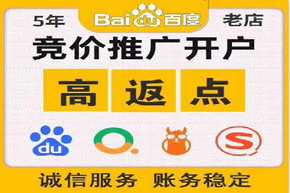 实战解析：SEM网络推广成功案例分享